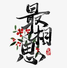 4020电子书 Logo